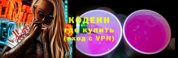 СК Каменка