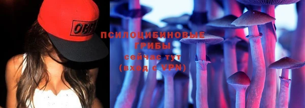 spice Каменногорск