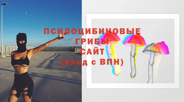 spice Каменногорск