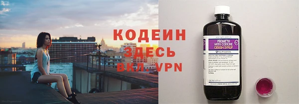СК Каменка