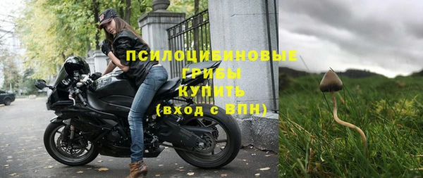 бошки Каменск-Шахтинский